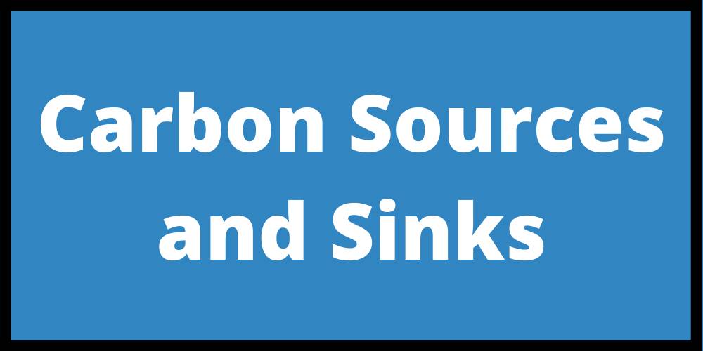 Carbon Sources and Sinks